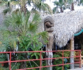 tarry-town-7